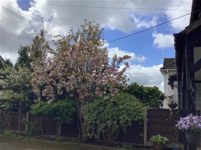 Picture 30